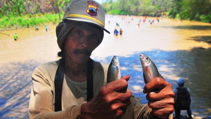 Melihat Keseruan Tradisi Menangkap Ikan di Grobogan Warga menangkap ikan menggunakan jala saat tradisi Tubo di Sungai Tuntang, Desa Ngombak, Kedungjati, Grobogan, Jawa Tengah, Senin (9/9/2024). Tradisi tubo atau menangkap ikan bersama-sama yang digelar dua tahun sekali itu diikuti ratusan warga bertujuan untuk mempererat kerukunan antarwarga sekaligus melestarikan tradisi nenek moyang mereka. ANTARA FOTO/Yusuf Nugroho/Spt. *** Local Caption ***