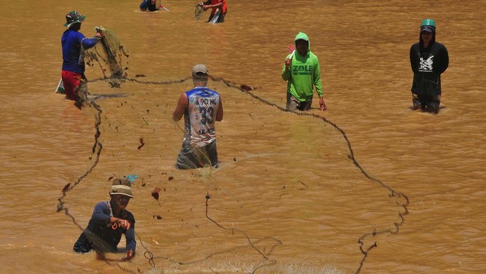 Melihat Keseruan Tradisi Menangkap Ikan di Grobogan Warga menangkap ikan menggunakan jala saat tradisi Tubo di Sungai Tuntang, Desa Ngombak, Kedungjati, Grobogan, Jawa Tengah, Senin (9/9/2024). Tradisi tubo atau menangkap ikan bersama-sama yang digelar dua tahun sekali itu diikuti ratusan warga bertujuan untuk mempererat kerukunan antarwarga sekaligus melestarikan tradisi nenek moyang mereka. ANTARA FOTO/Yusuf Nugroho/Spt. *** Local Caption ***