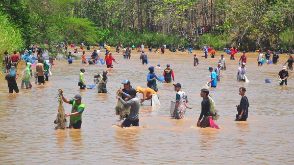 Melihat Keseruan Tradisi Menangkap Ikan di Grobogan