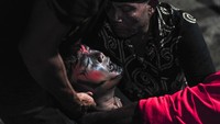 Pawang (atas) menenangkan salah seorang anggota Paguyuban Seni Budaya Suko Laras Kendali Bendung Sejati (SLKBS) yang kesurupan saat memainkan tari Kuda Lumping di permukiman transmigran Desa Tanjung Benanak, Tanjung Jabung Barat, Jambi. 