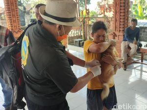Tindak Lanjut Seusai Desa Selanbawak Masuk Zona Merah Rabies