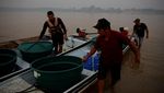 Perjuangan Mendapat Air Bersih Saat Sungai Amazon Mengering Parah
