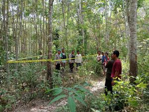 Coba Usir Gajah yang Rusak Kebun Karet, Karsini Bumil 5 Bulan Tewas Diinjak