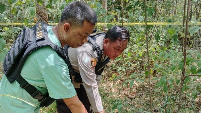 Polisi olah TKP wanita hamil tewas diinjak gerombolan gajah di Musi Rawas.