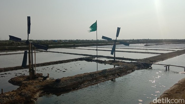 Potret hamparan tambak garam di Kecamatan Losarang, Kabupaten Indramayu yang enggan menggunakan geomembran saat produksi