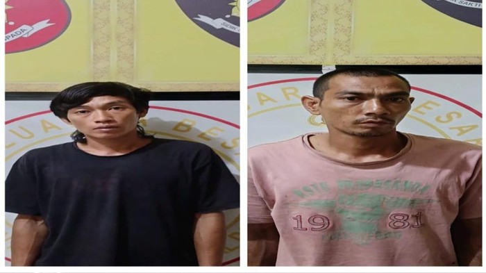 Dua pria di Ogan Komering Ulu (OKU), Dwi Heryanto (32) dan M Yusuf (34) ditangkap polisi. Mereka kedapatan mencuri kelapa sawit.