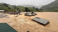 Selain itu, badai ini juga menyebabkan banjir, menumbangkan ribuan pohon, hingga merusak rumah-rumah. (Do Tuan Anh/ VNA via AP)  