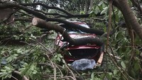Sebuah mobil hancur tertimpa pohon tumbang setelah topan Yagi menghantam kota Hanoi, Vietnam, Minggu (8/9/2024). (Tran Quoc Viet/ VNA via AP)  