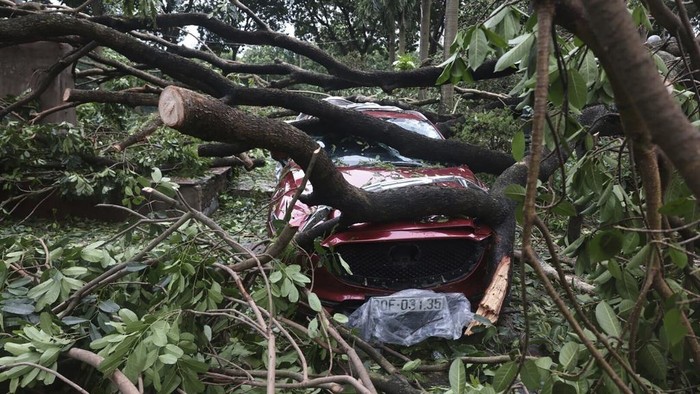 Setelah Mengamuk di China, Topan Super Yagi Hantam Vietnam A car is crushed underneath a broken tree after typhoon Yagi hit the city in Hanoi, Vietnam on Sunday, Sept. 8, 2024. (Tran Quoc Viet/ VNA via AP)