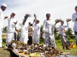 Mengenal Makna dan Tujuan Tradisi Ngaben Tikus di Bali