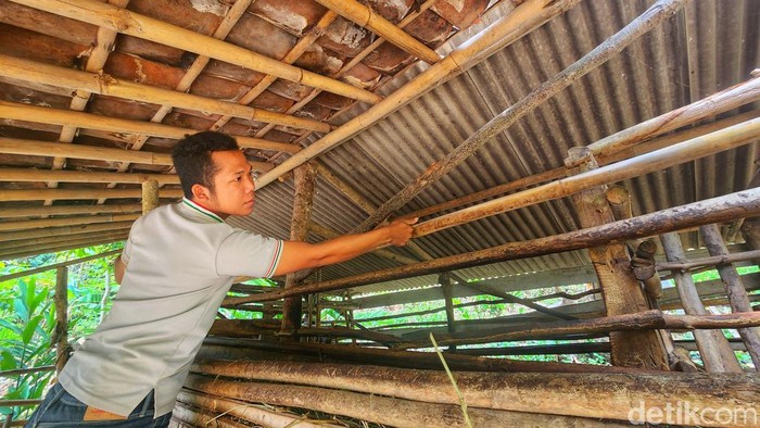 Warga Sukabumi pasang jebakan usai kambing ternak mereka dimangsa hewan buas.