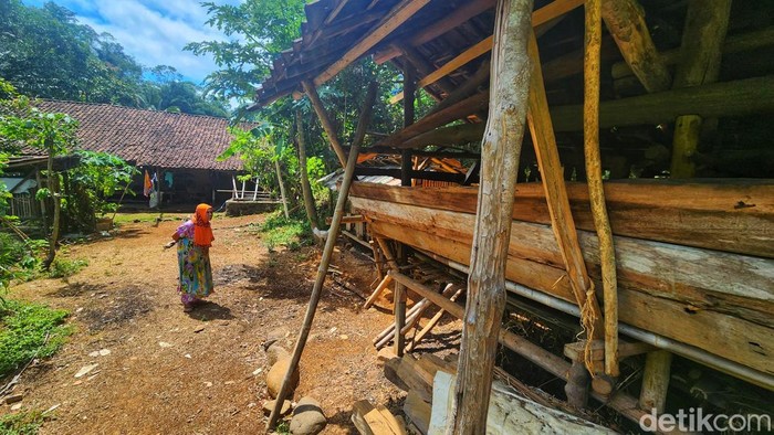 Eem Julaeha (70) saat melihat kandang kambing yang jadi sasaran macan di Sukabumi