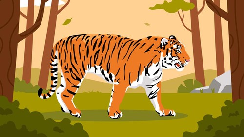 Harimau, ilustrasi harimau. (Freepik)