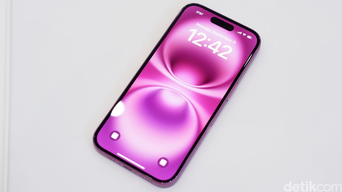 iPhone 16 & iPhone 16 Plus
