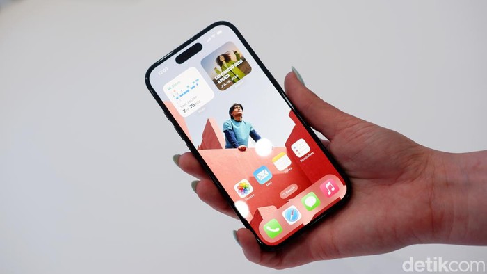 iPhone 16 & iPhone 16 Plus