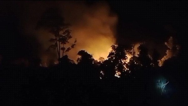 Taman Nasional Way Kambas Kebakaran, Banyak Satwa Jadi Korban