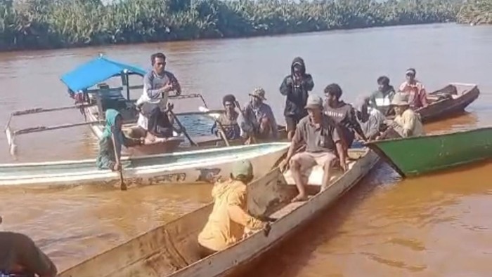 Warga bernama Jangkar (53) di Konawe Utara, Sulawesi Tenggara (Sultra), diterkam buaya saat mengecek jaring ikan di sungai.