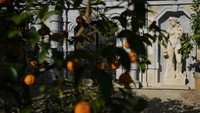 Beberapa suratnya menyebutkan pohon jeruk dan jeruk nipis serta buah ara. Taman ini menyediakan palet warna baru bagi pengunjung untuk setiap musim: tulip cerah musim semi, hijaunya musim panas, dan emasnya musim gugur. Taman saat ini meliputi marigold, mawar, magnolia, buah ara, pohon ek hitam, dan banyak pohon jeruk.