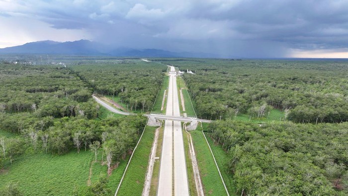 Presiden Jokowi telah meresmikan Tol Sigli-Banda Aceh. Begini potret jalan tol tersebut.