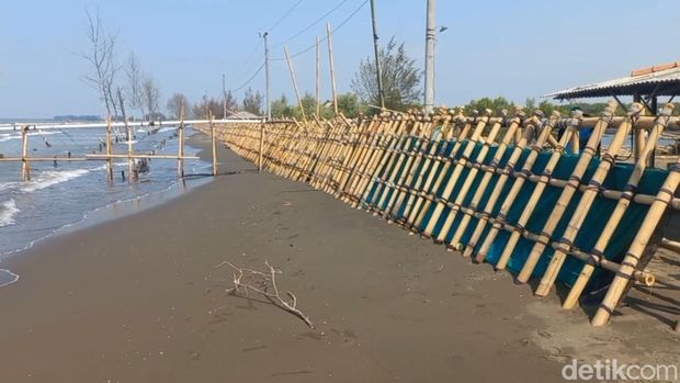 Potret 'benteng' rob yang dibangun warga Blendung, Ulujami, Pemalang, Selasa (10/9/2024).