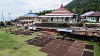 Panen cengkeh secara tradisional merupakan salah satu waktu tersibuk sepanjang tahun bagi para petani di Tidore, produsen cengkeh utama di Pulau Maluku.  