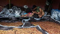 Cengkeh merupakan bagian terpenting dari kretek, karena cengkeh menjadi bahan campuran pembuatan rokok.  