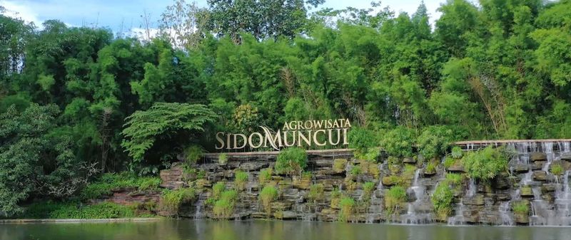 adv sidomuncul