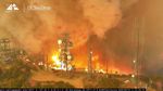 Bandara di California Dilalap Api Kebakaran Hutan