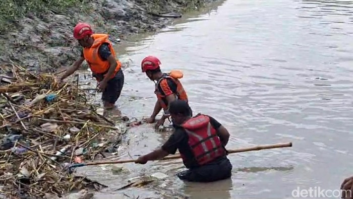 Pencarian bocah TK yang tenggelam di saluran irigasi Desa Songgom Lor, Brebes, Rabu (11/9.2024).