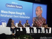 RI Bakal Punya PLTN 2032, Kapasitas 250 MW