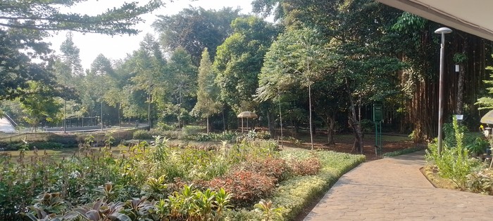 Hutan Kota Ciganjur