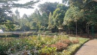 Di area ini juga terdapat kolam ikan, trek pejalan kaki, tempat duduk hingga dek dermaga. Semua bisa dinikmati oleh para pengunjung tanpa mengeluarkan sepeser pun biaya. Foto: Muhammad Lugas Pribady/detikTravel