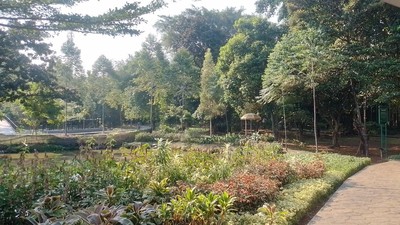 Rileks di Hutan Kota Ciganjur Ditemani Kicau Burung