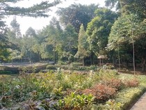 Rileks di Hutan Kota Ciganjur Ditemani Kicau Burung