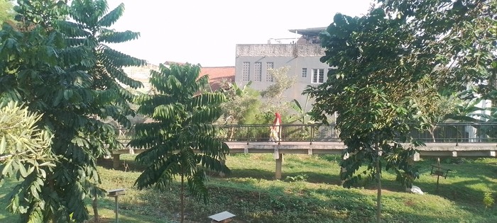 Hutan Kota Ciganjur