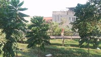 Untuk sekadar berolahraga pun tempat ini cocok sebagai arenanya, lari pagi atau sore bisa jadi pilihan sembari menikmati suasana Jakarta Selatan yang berbeda. Selain kolam ikan, di Hutan Kota Ciganjur ini juga terdapat kandang ayam. Foto: Muhammad Lugas Pribady/detikTravel