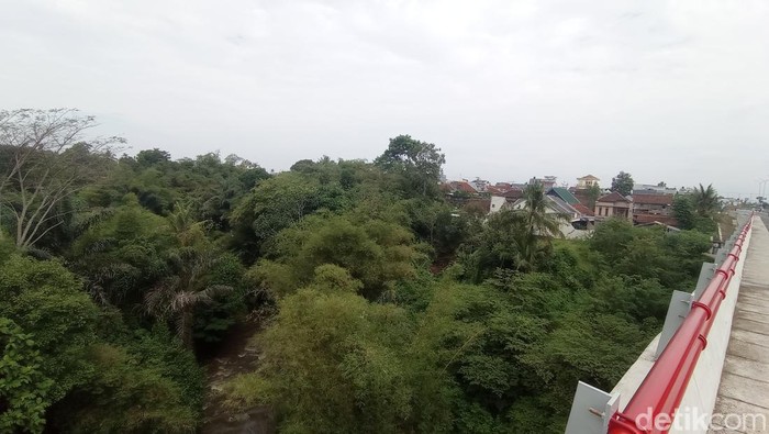 Kampung Cimerak Kelurahan Sukaasih Kecamatan Purbaratu Kota Tasikmalaya yang jadi sasaran kawanan monyet.