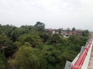 Teror Kawanan Monyet yang Bikin Resah Kampung Cimerak Tasik