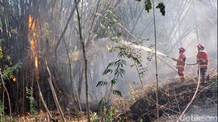 Kebakaran hutan di Trenggalek yang menghanguskan 2 hektare lahan.