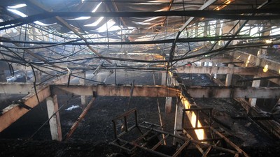 Peternakan di Kudus Terbakar, 36.000 Ayam Mati Terpanggang