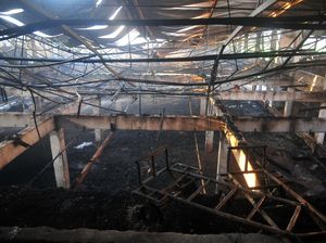 Peternakan di Kudus Terbakar, 36.000 Ayam Mati Terpanggang