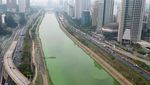 Kekeringan Bikin Sungai di Brasil Berubah Hijau
