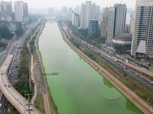 Fenomena Aneh di Brasil, Ada Sungai Berubah Warna Jadi Hijau