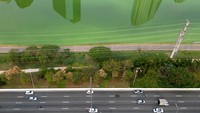 Sungai Pinheiros mengalir melalui kota Sao Paulo, dan merupakan salah satu sungai yang paling tercemar di Brasil.  