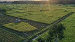 Lahan Pertanian Tanaman Pangan di Kaltim Diperluas