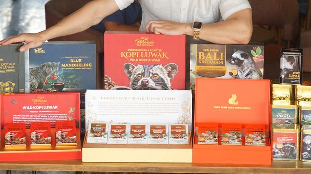 Kopi Luwak Worcas