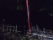 3 Kejadian Pohon Terbakar Misterius di Jabar, Ini Kata Pakar