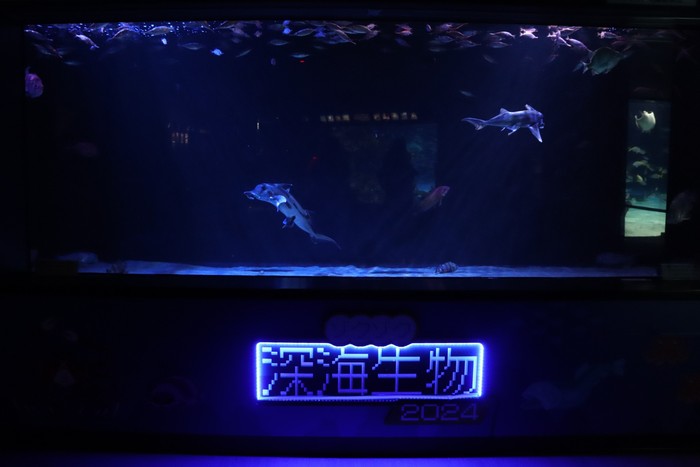 Suasana di Shunshine Aquarium, Jepang
