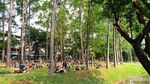 Tebet Eco Park, Kombinasi Sempurna antara Alam dan Rekreasi