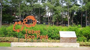 Tebet Eco Park, Kombinasi Sempurna antara Alam dan Rekreasi